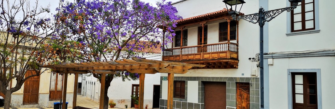 CANARY HOUSES LOS SILOS