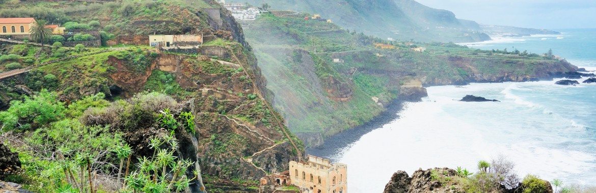 In diesem Abschnitt stellen wir Ihnen verschiedene Gebiete Teneriffas vor.