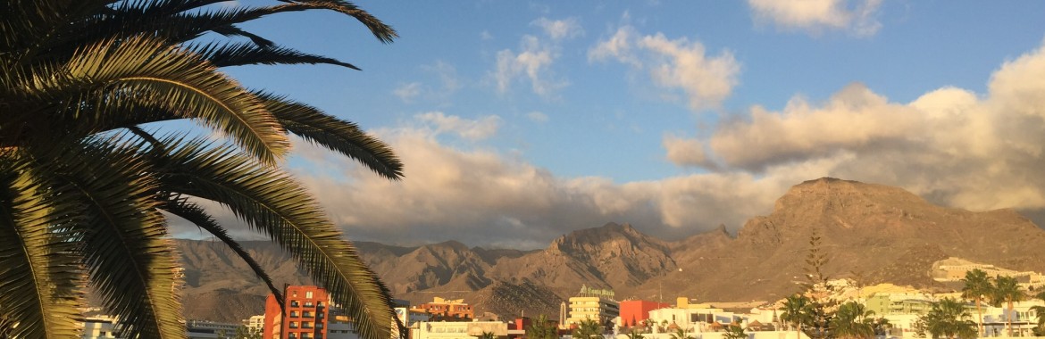 Proyectos de inversión en Tenerife.