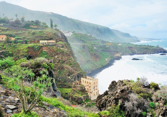 In diesem Abschnitt stellen wir Ihnen verschiedene Gebiete Teneriffas vor.